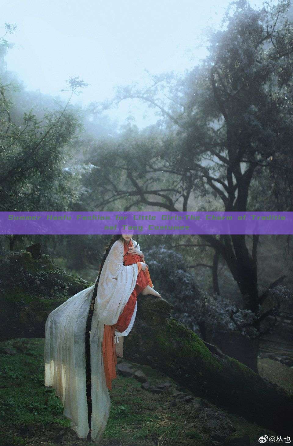Summer Hanfu Fashion for Little Girls:The Charm of Traditional Tang Costumes Summer Hanfu Fashion for Little Girls:The Charm of Traditional Tang Costumes