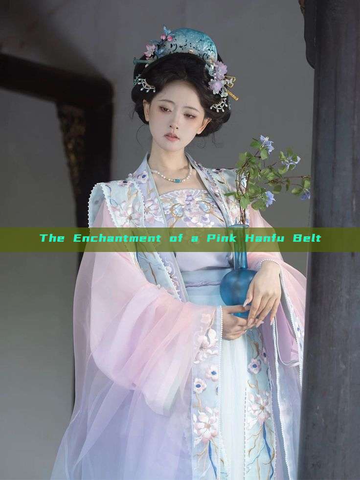 The Enchantment of a Pink Hanfu Belt The Enchantment of a Pink Hanfu Belt