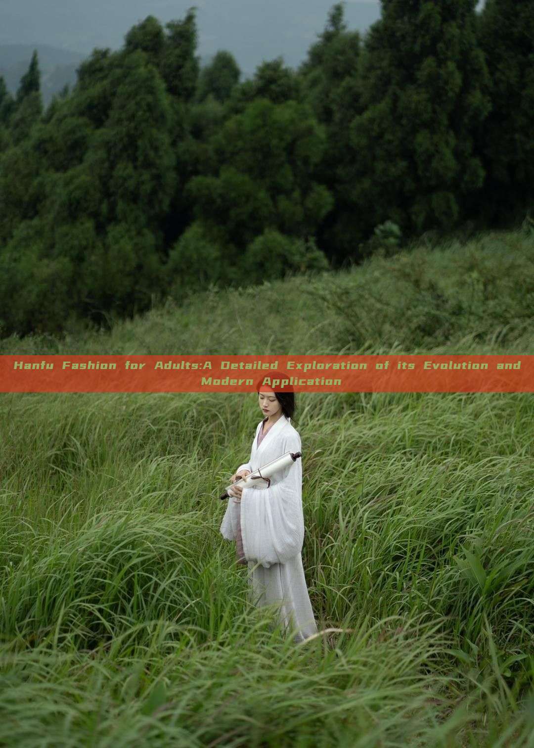 Hanfu Fashion for Adults:A Detailed Exploration of its Evolution and Modern Application