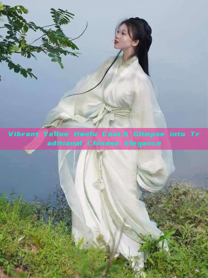 Vibrant Yellow Hanfu Coat:A Glimpse into Traditional Chinese Elegance