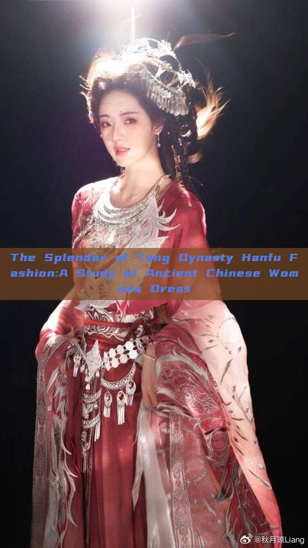 The Splendor of Tang Dynasty Hanfu Fashion:A Study of Ancient Chinese Womens Dress The Splendor of Tang Dynasty Hanfu Fashion:A Study of Ancient Chinese Womens Dress