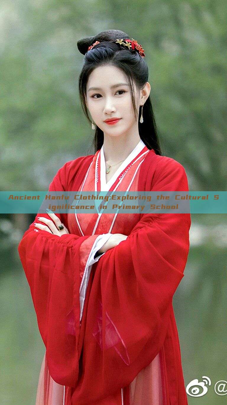 Ancient Hanfu Clothing:Exploring the Cultural Significance in Primary School