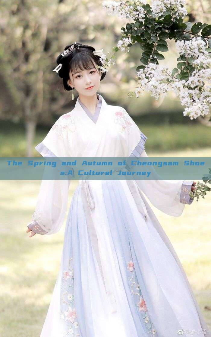 The Spring and Autumn of Cheongsam Shoes:A Cultural Journey The Spring and Autumn of Cheongsam Shoes:A Cultural Journey